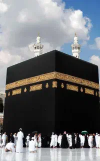خرید و فروش فیش عمره و تمتع فقط در استان مازندران