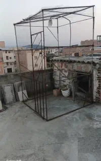 قفس