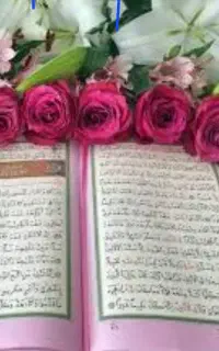 ختم قران ۲۵۰تومن