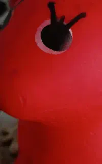 اسب بادی