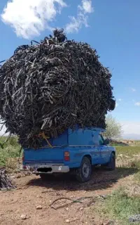 خریدار نوار طیف