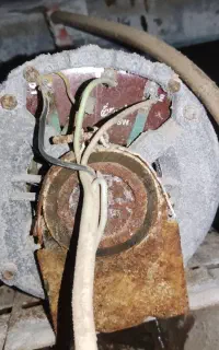 سرویسکار