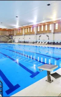 آموزش شناویژه بانوان از ۶سال تا ۶۰سال