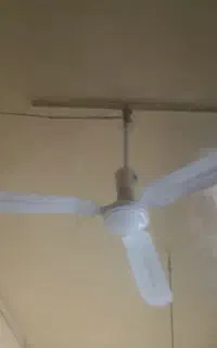 پنکه سقفی