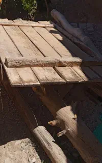 چوب سالم و تمیز