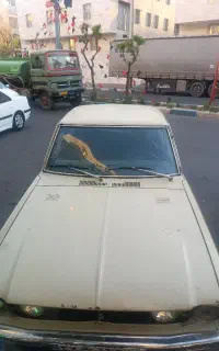 تویتا شکاری همه چی فابریک سالن