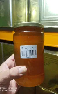 عسل گون طبیعی گرید +B  با برگه آزمایش