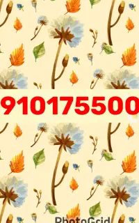 09101755008