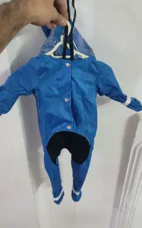 بارونی پت