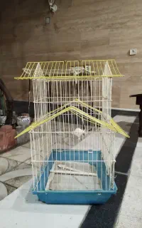 قفس