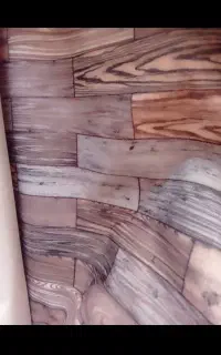 موکت پورزدارکاملانو