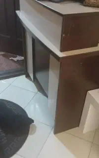 مفت