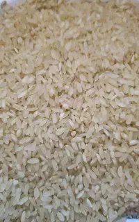 برنج کامفیروزی