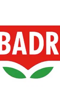 استخدام ویزیتور