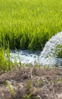 حفاری چاه آب *ارزان‌تر از همه جا*