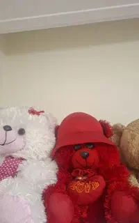 خرس نونومناسب کادوسالم