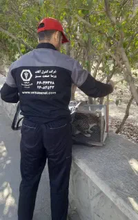 خدمات سمپاشی و مبارزه با آفات الو سمپاش