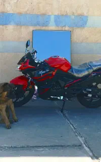 مگلی 200 خُشک یدونه کارکرد