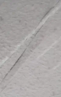 موکت طرح دار