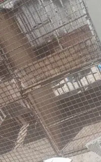 قفس برای مرغ وخروس