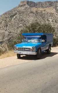 نیسان دوگانه تناژ پاین