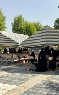 چادرسرمزارومیزوصندلی
