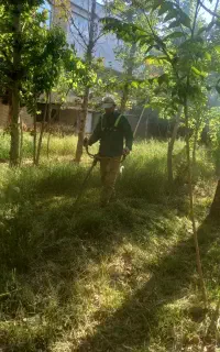 باغبانی  کاشت گل گیاه  علف زنی چوب  بری چمن کاری