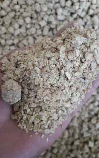 سویابرزیل.