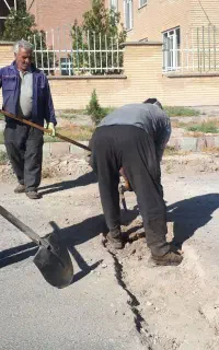 راننده پایه ۱ برای همکاری در شرکت