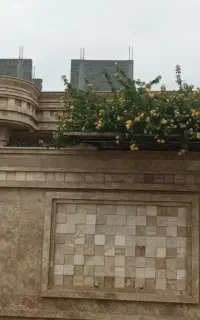 سرامیکار ،کاشی کف،نما، بلوکاری،پلاسترقیمت منصفانه
