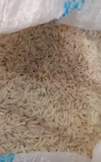 برنج شیرودی گیلان دانه بلند