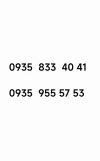 53 57 955 935 4041 833 935