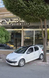 ۲۰۶ پانوراما  T3 (اقساط)