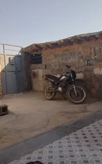 تریل ۲۰۰ بشرط سالمی