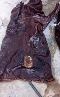 مشک جای دوغ