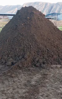 فروش کود گاو