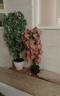 درختچه مصنوعی