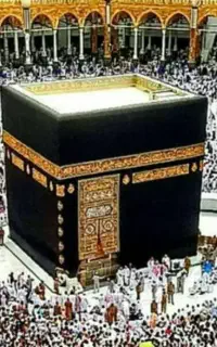 دوفقره فیش حج تمتع اماده اعزام