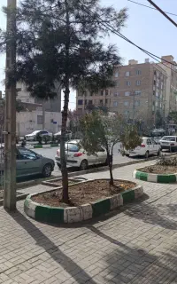 مغازه 50 متری تجاری سند آماده انتقال حاشیه شریعتی