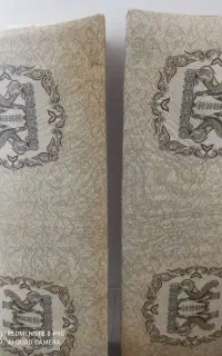 پشتی دو جفت