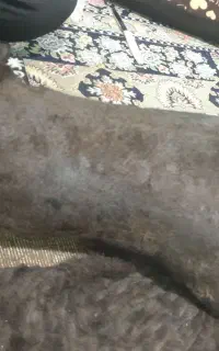 خیگ روغن