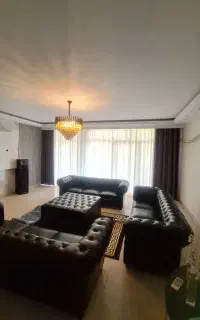 بازار پرده در منزل شما پانچی ورتیلاین زبرا