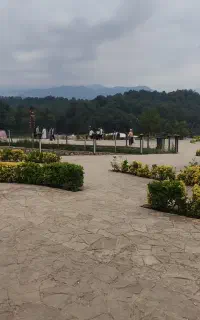 جذب‌فوری‌همکار‌عکاس