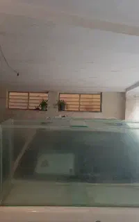آکواریوم