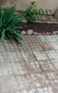 منزل اجاره ای سالیانه