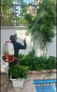 سمپاشی، باغبانی، پیوند، کاشت گل و چمن