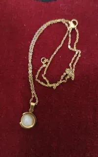 گردنبند و پلاک