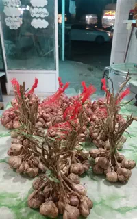 سیر محلی ییلاق