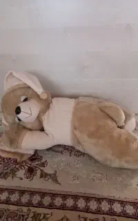 تعدادی عروسک در حد نو و سالم