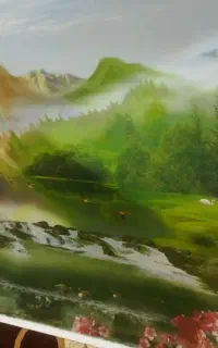 پرده زبرا سالم